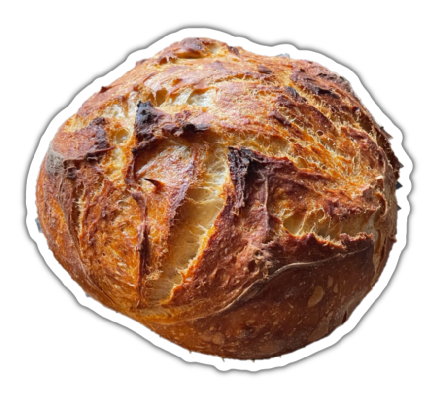 Bread